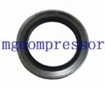 oil seal